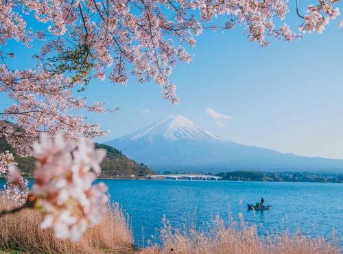 日本群pgif,探索创意无限的网络表情世界