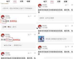 视频爆料规则最新版,揭秘合规发布与风险规避要点