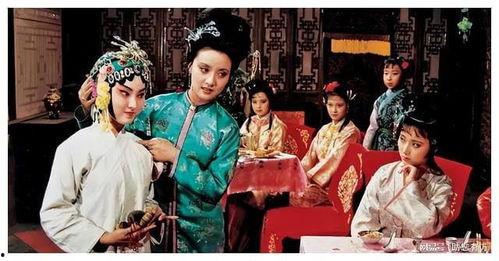 新红楼梦艳情版在线播放,揭秘贾宝玉与林黛玉的禁忌爱恋