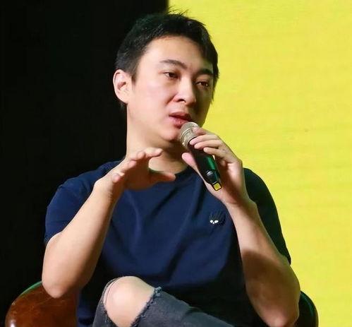 王思聪日本,奢华生活与商业版图揭秘