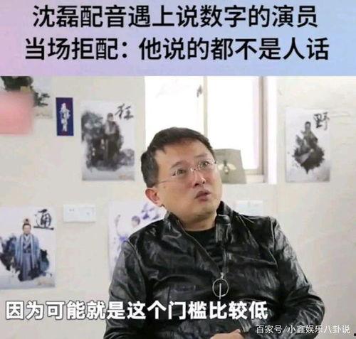 娱乐爆料的配音演员是谁,揭秘配音演员背后的神秘声音