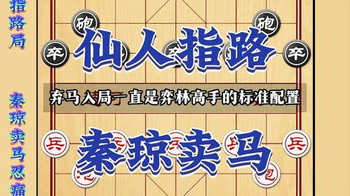 中国象棋高手教学视频