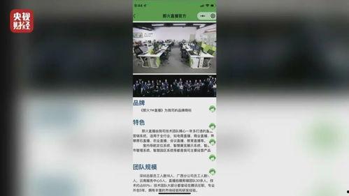 爆料翡翠直播话术大全视频,爆款视频背后的技巧解析