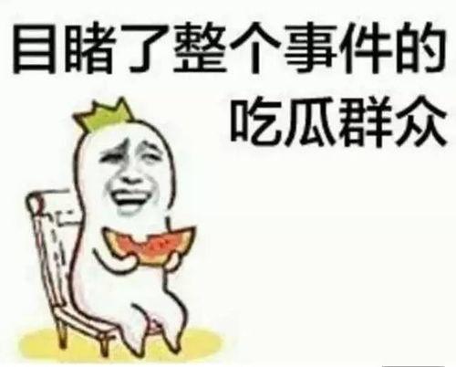 我在虐文里摆烂吃瓜免费,虐文世界里的悠闲生活