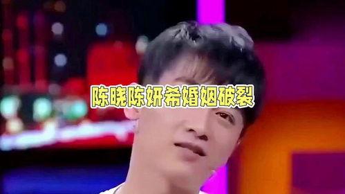 娱乐圈吃瓜情报局陈晓